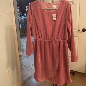 JCrew velvet pink dress